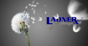 Dandelion seeds dispersing with logo